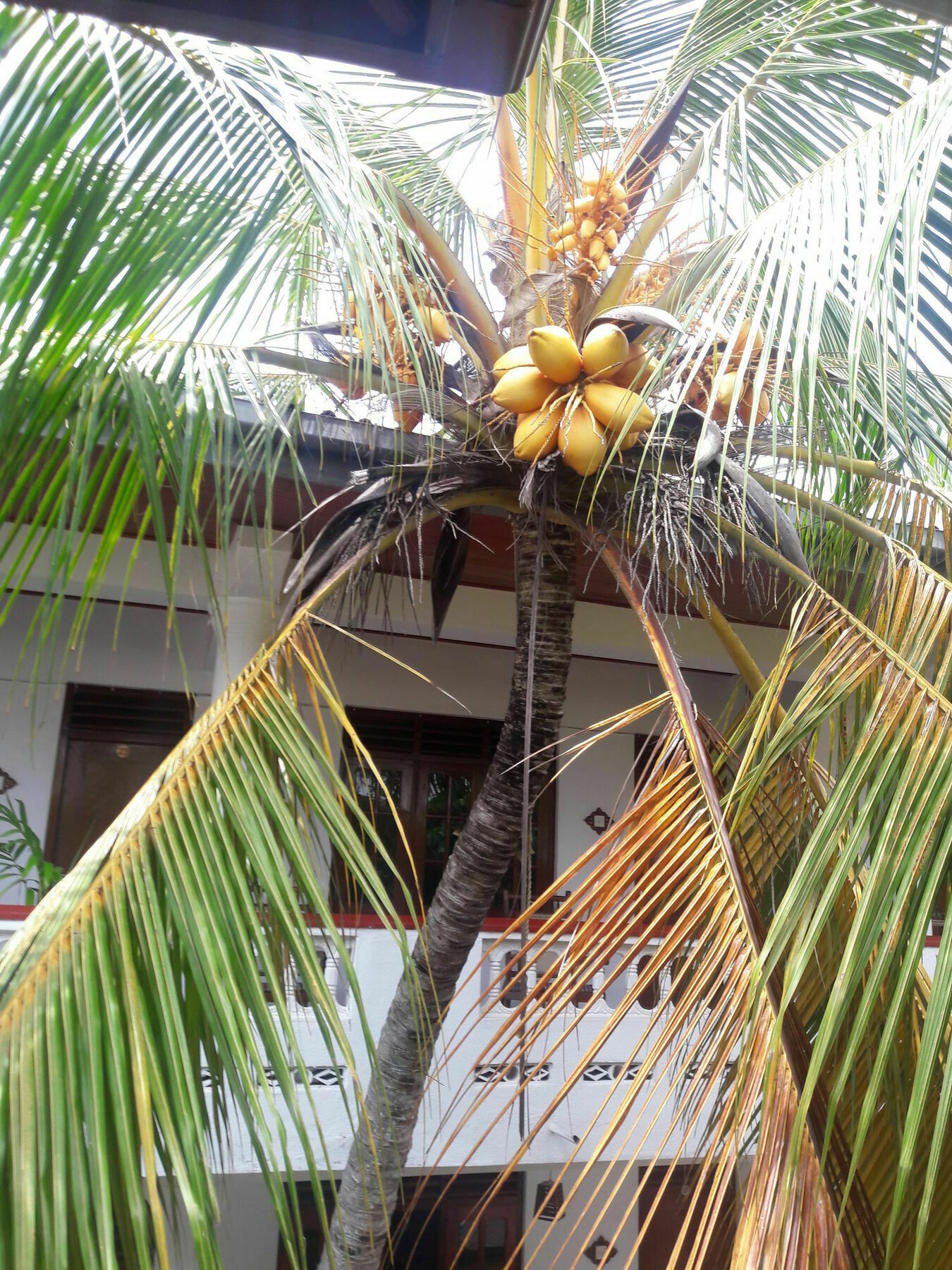 Happy Night Holiday Inn Unawatuna Exterior photo